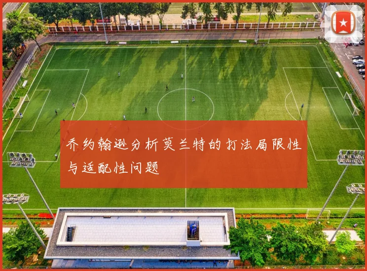 乔约翰逊分析莫兰特的打法局限性与适配性问题