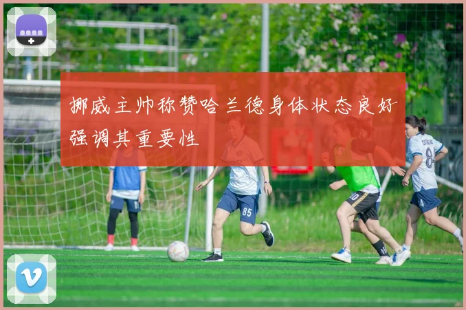 挪威主帅称赞哈兰德身体状态良好强调其重要性