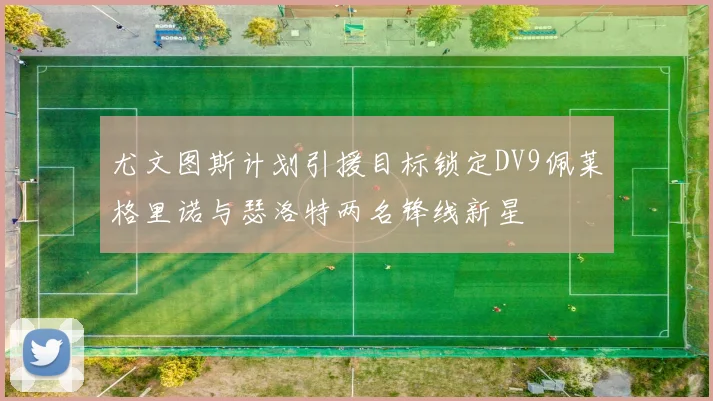 尤文图斯计划引援目标锁定DV9佩莱格里诺与瑟洛特两名锋线新星